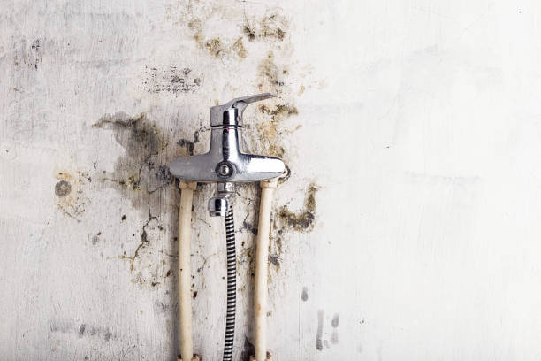 Best Water Damage Restoration  in Chaska, MN