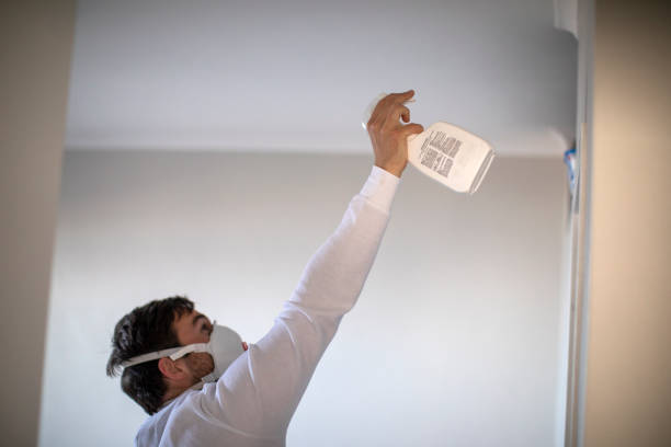 Best Black Mold Removal  in Chaska, MN