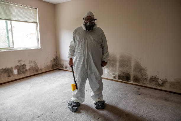 Best Certified Mold Removal  in Chaska, MN