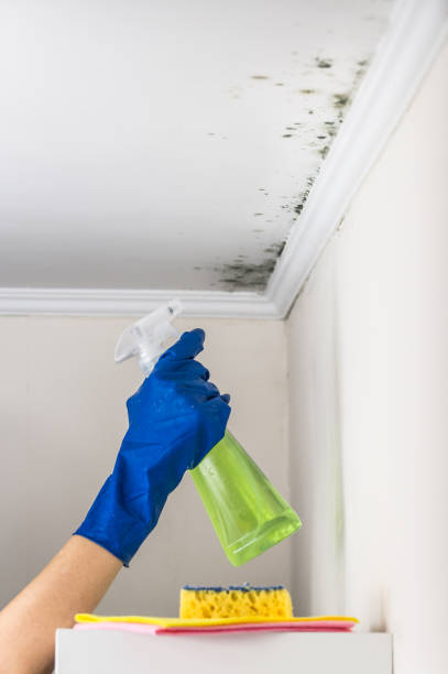 Crawl Space Mold Removal in Chaska, MN